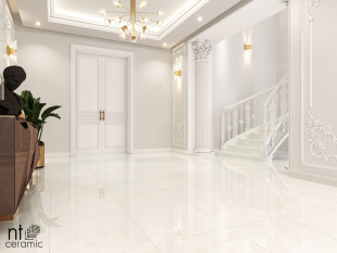 Керамогранит NT Ceramic Onyx Predo арт. NTT99504P (60x120) полированный